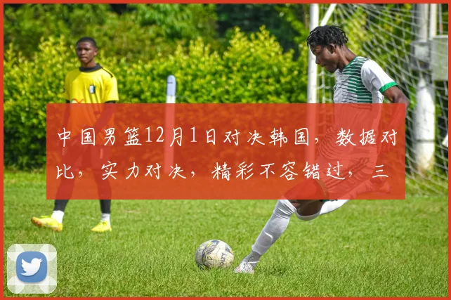 中国男篮12月1日对决韩国，数据对比，实力对决，精彩不容错过，三队交锋