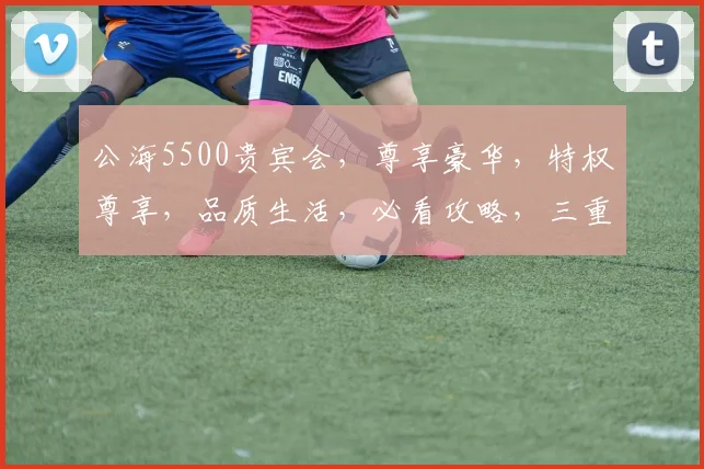公海5500贵宾会，尊享豪华，特权尊享，品质生活，必看攻略，三重福利等你来