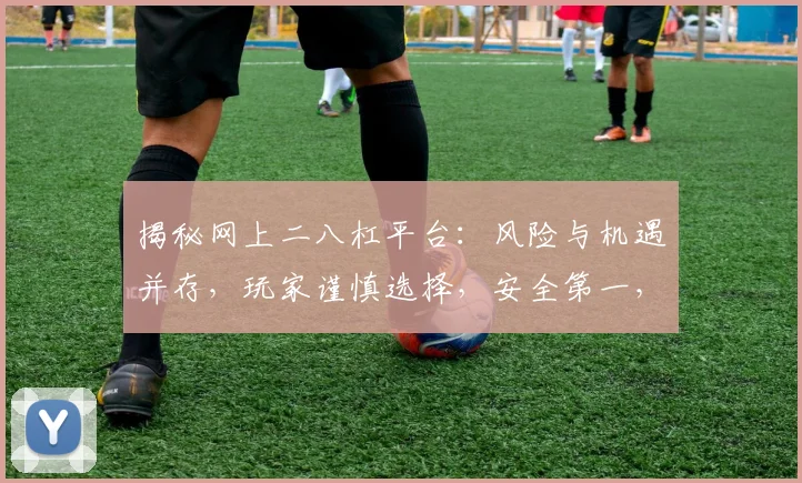 揭秘网上二八杠平台：风险与机遇并存，玩家谨慎选择，安全第一，赢在起点