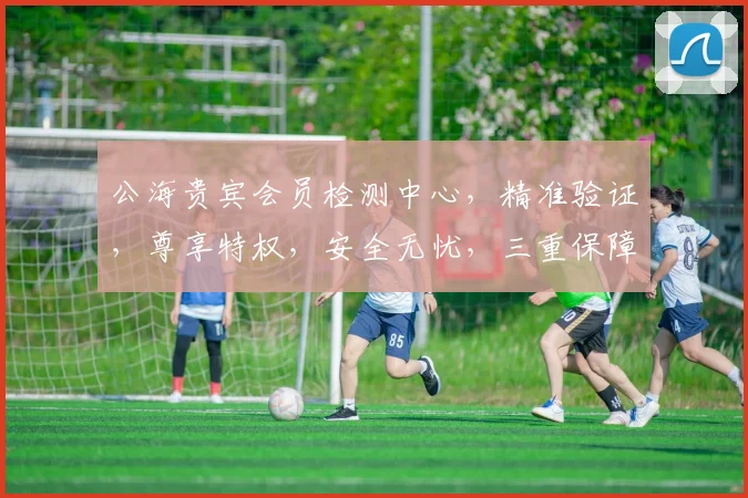 公海贵宾会员检测中心，精准验证，尊享特权，安全无忧，三重保障，必看指南