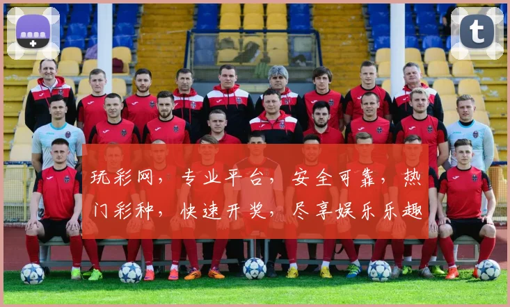 玩彩网，专业平台，安全可靠，热门彩种，快速开奖，尽享娱乐乐趣，不容错过